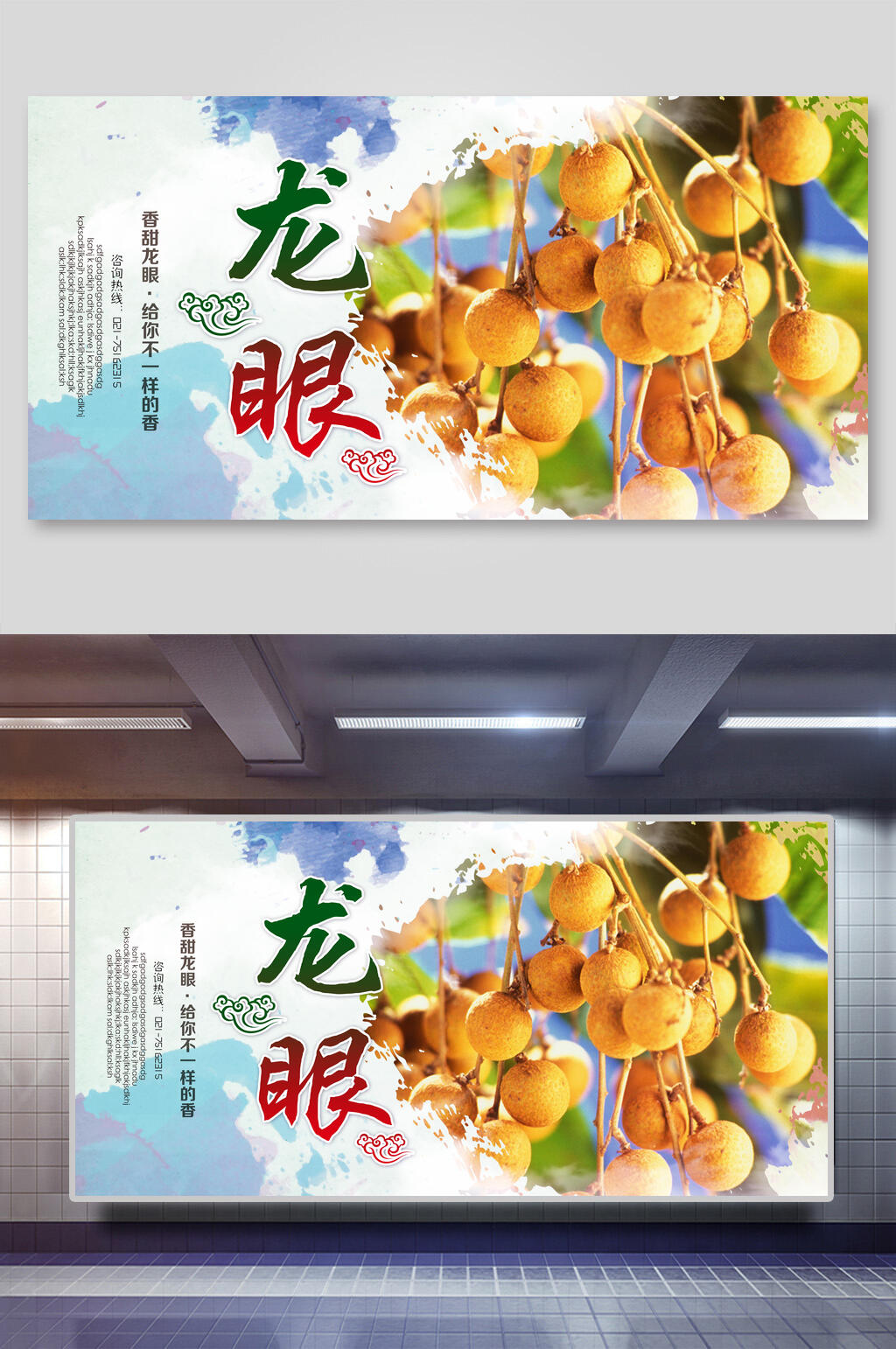水果展板龙眼素材