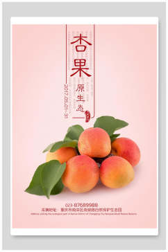 杏果杏子海报