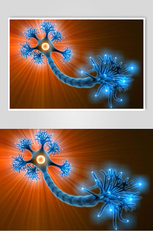 神经细胞病菌图片