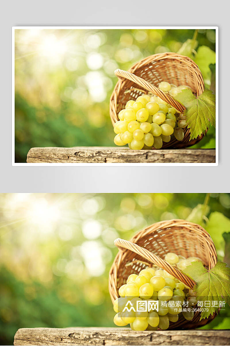 时尚绿色有机食品葡萄提子水果图片素材