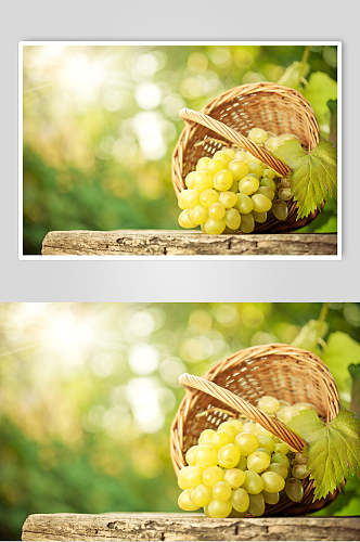 时尚绿色有机食品葡萄提子水果图片