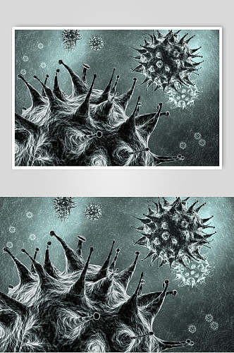 黑色球状细胞病菌图片
