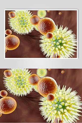 刺球形细胞病菌图片