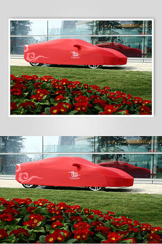 创意花朵红色车身贴纸设计样机
