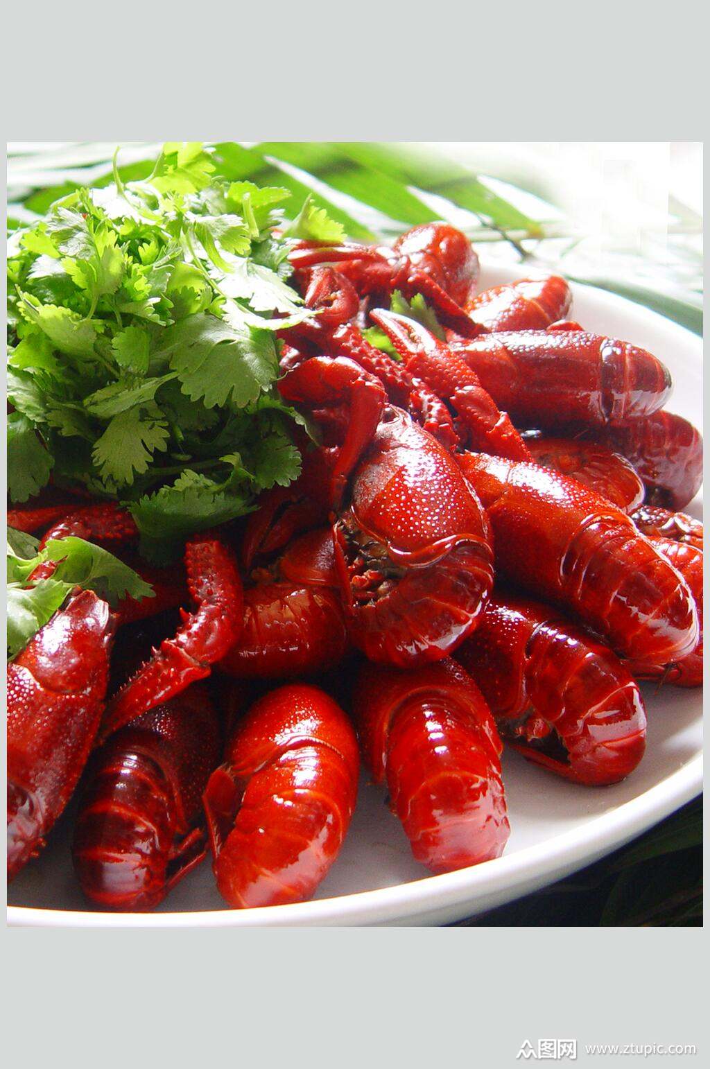 香浓美味麻辣小龙虾图片素材