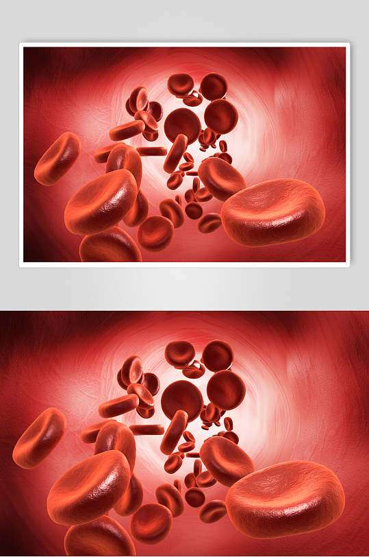 淡红色细胞病菌图片