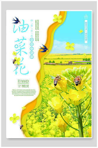 蜜蜂油菜花农田菜地促销宣传海报