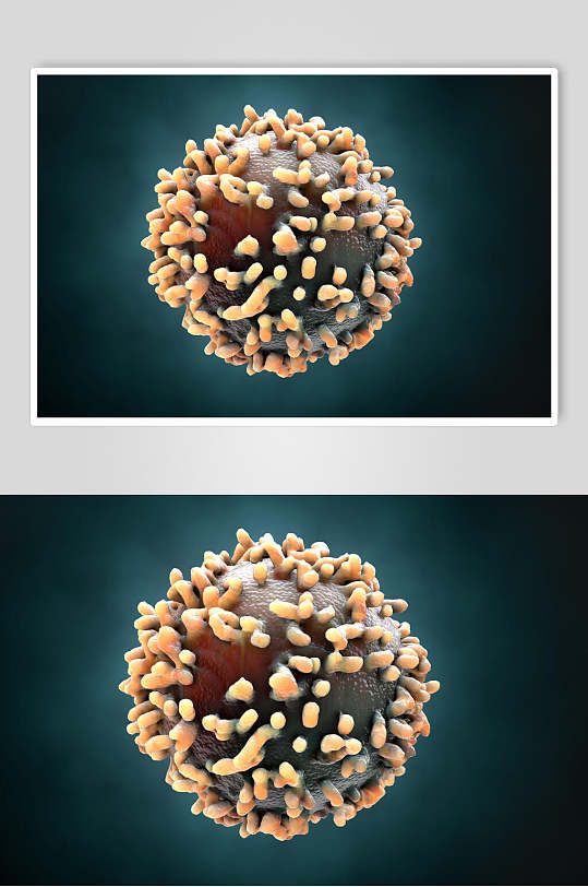 细小细胞病菌图片