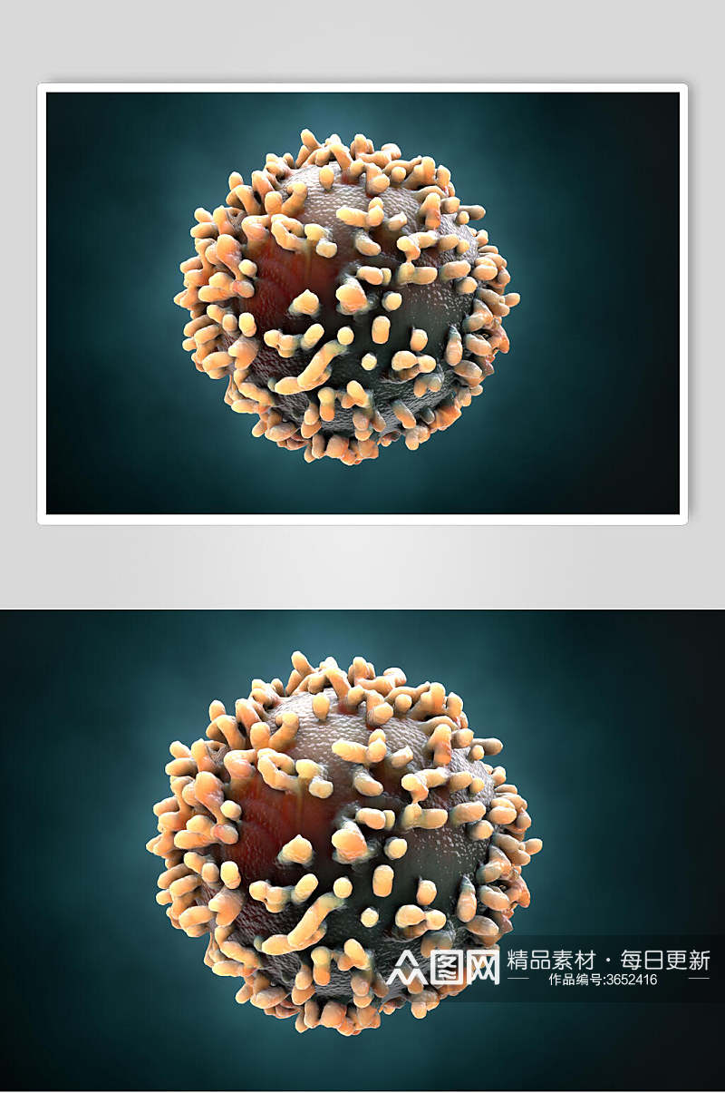 细小细胞病菌图片素材