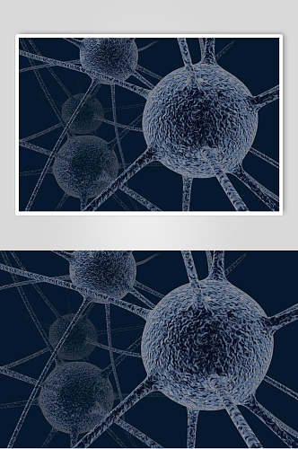 神经元细胞病菌图片