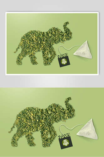 叶子大象创意大气茶叶包装贴图样机