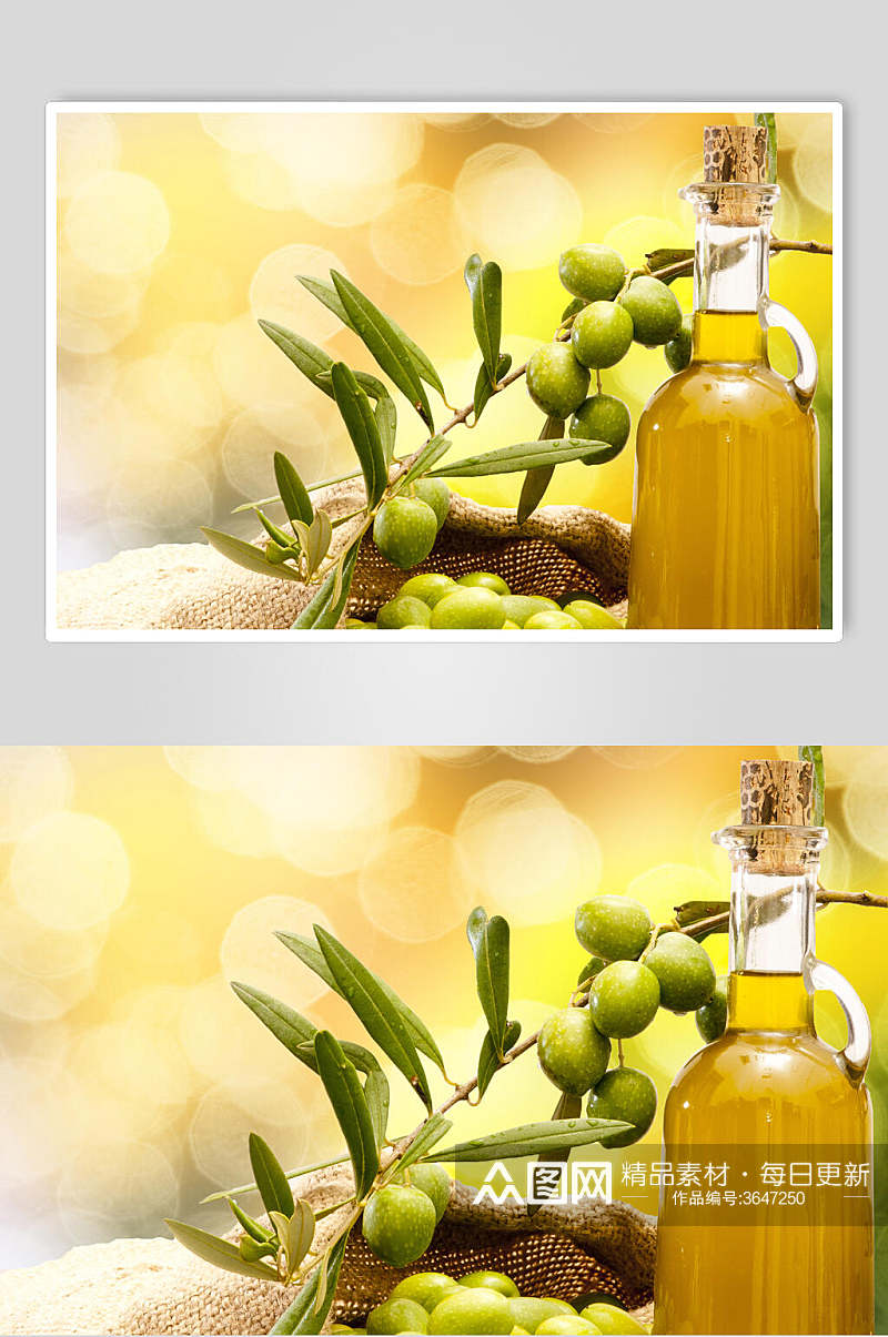 清新橄榄油图片素材