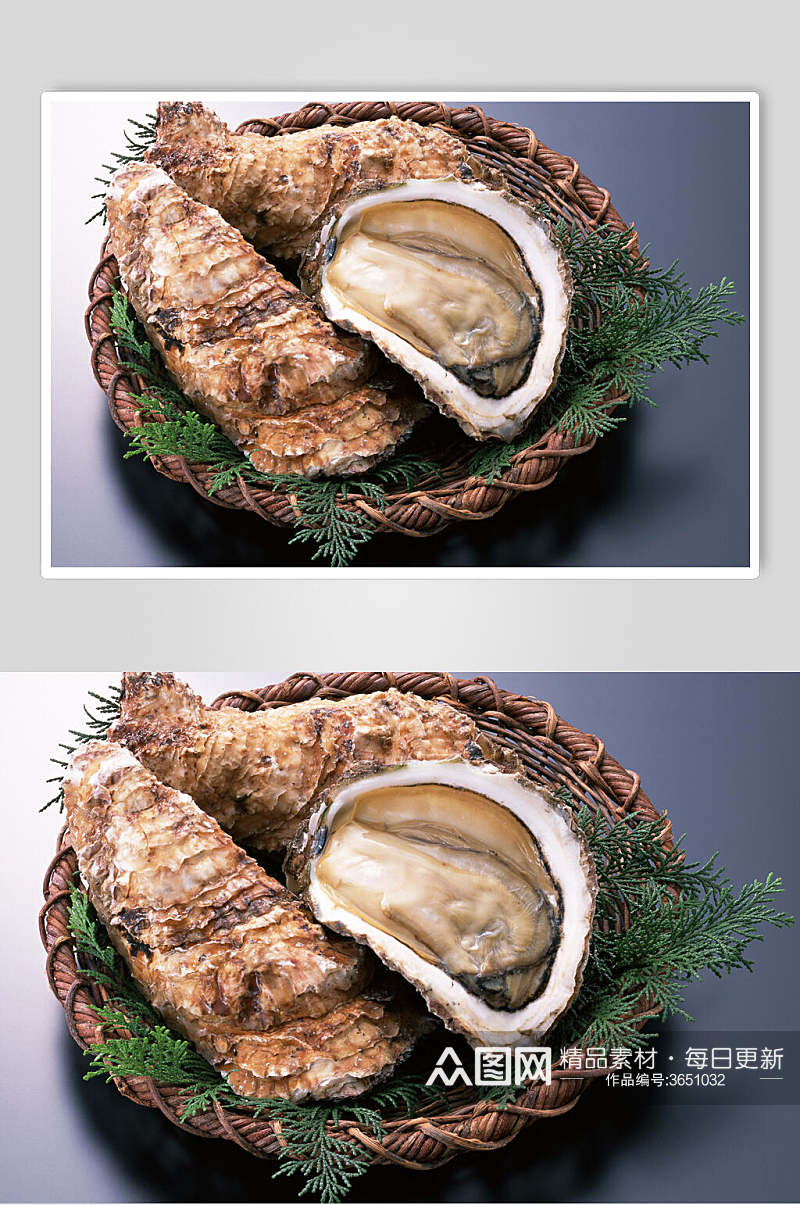 高端精品牡蛎高清图片素材