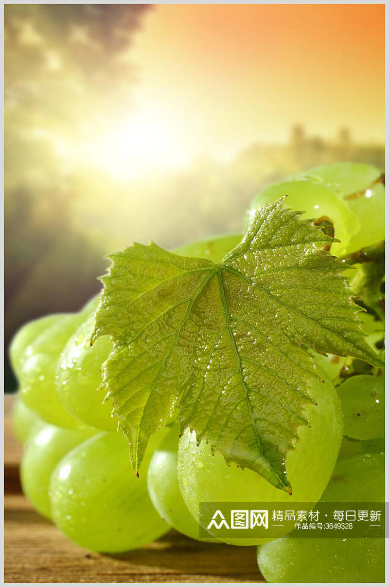 绿色葡萄提子水果图片素材