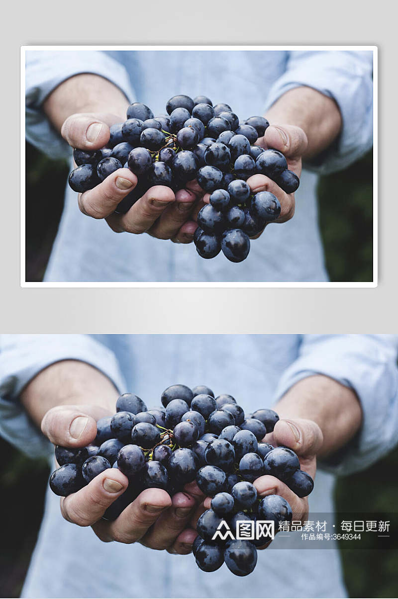 精品新鲜葡萄提子水果图片素材