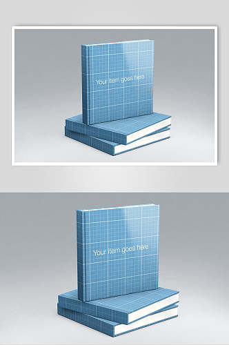 线条蓝色创意大气书籍书本展示样机