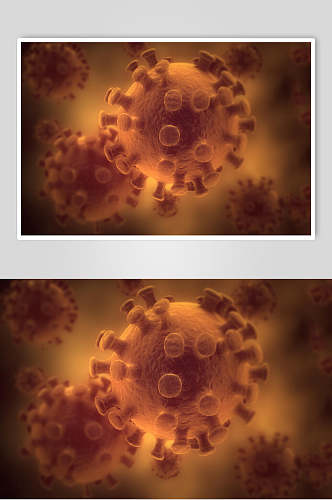 冠状细胞病菌图片