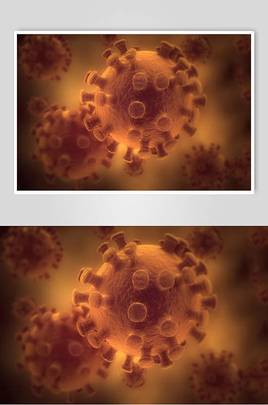 冠状细胞病菌图片