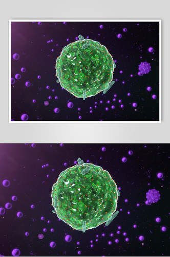 球状绿色细胞病菌图片