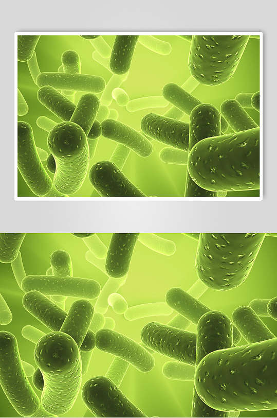 细胞病菌图片