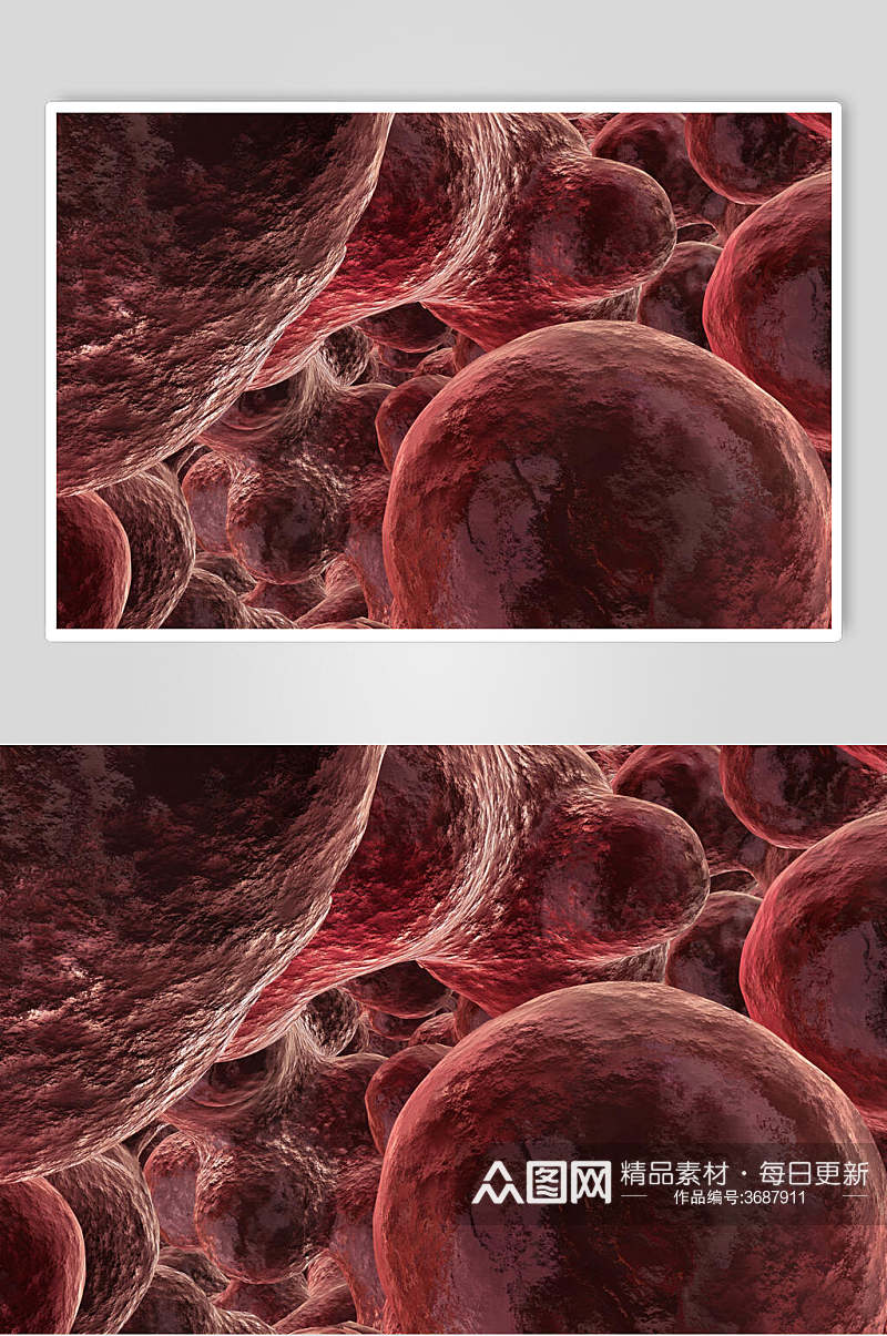 细胞病菌图片素材