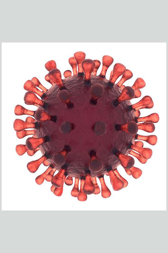 圆球形带吸盘状细胞病菌图片