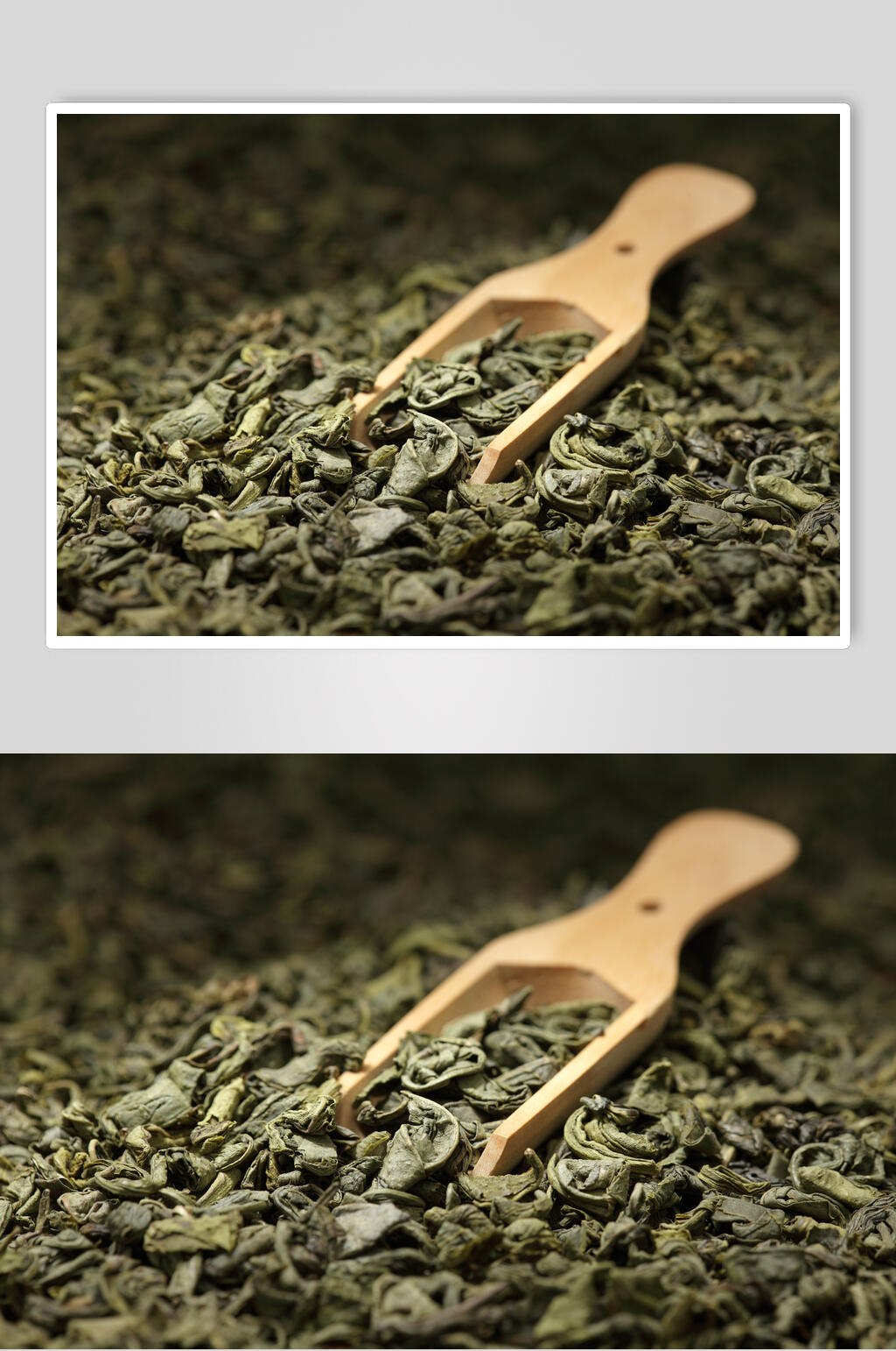 绿色茶叶绿茶红茶摄影图片叁素材