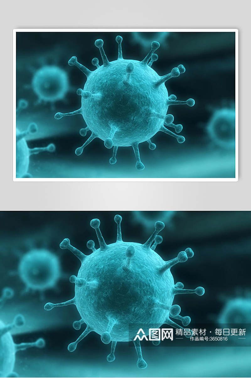 蓝色球形细胞病菌图片素材