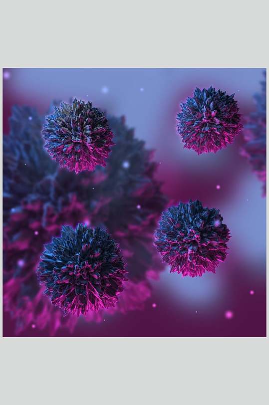 玫红色球状细胞病菌图片