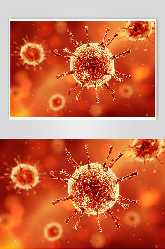 红色冠状细胞病菌图片