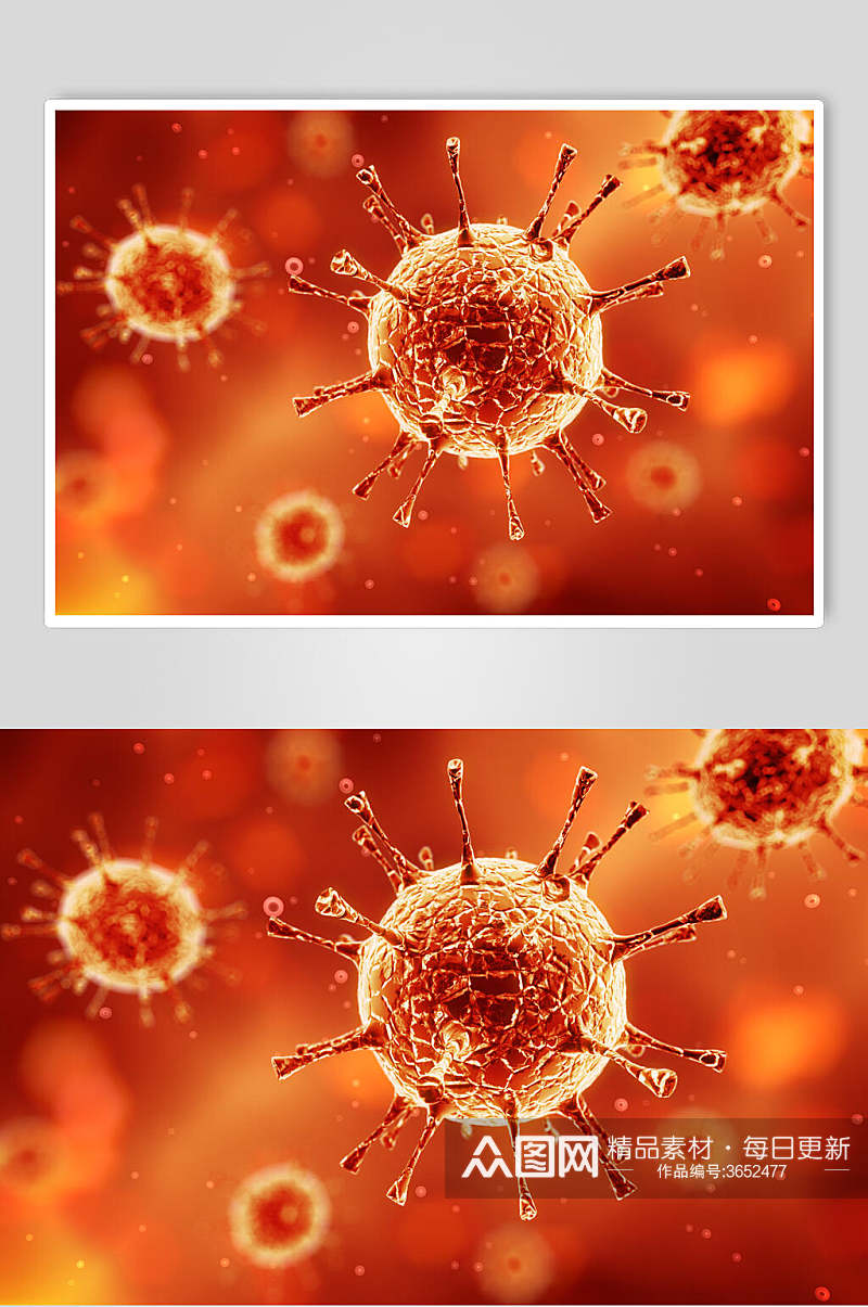 红色冠状细胞病菌图片素材