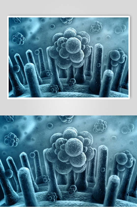 细胞病菌细菌图片