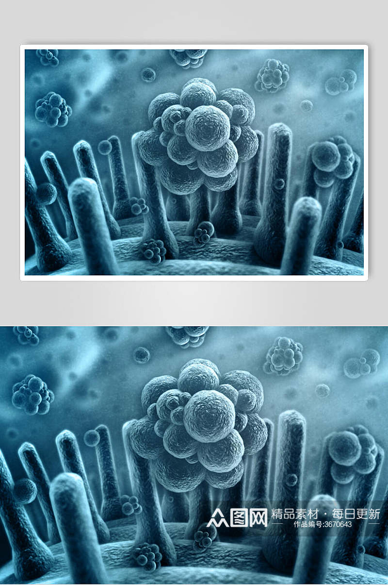 细胞病菌细菌图片素材