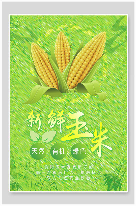 天然有机新鲜优质玉米食材促销宣传海报