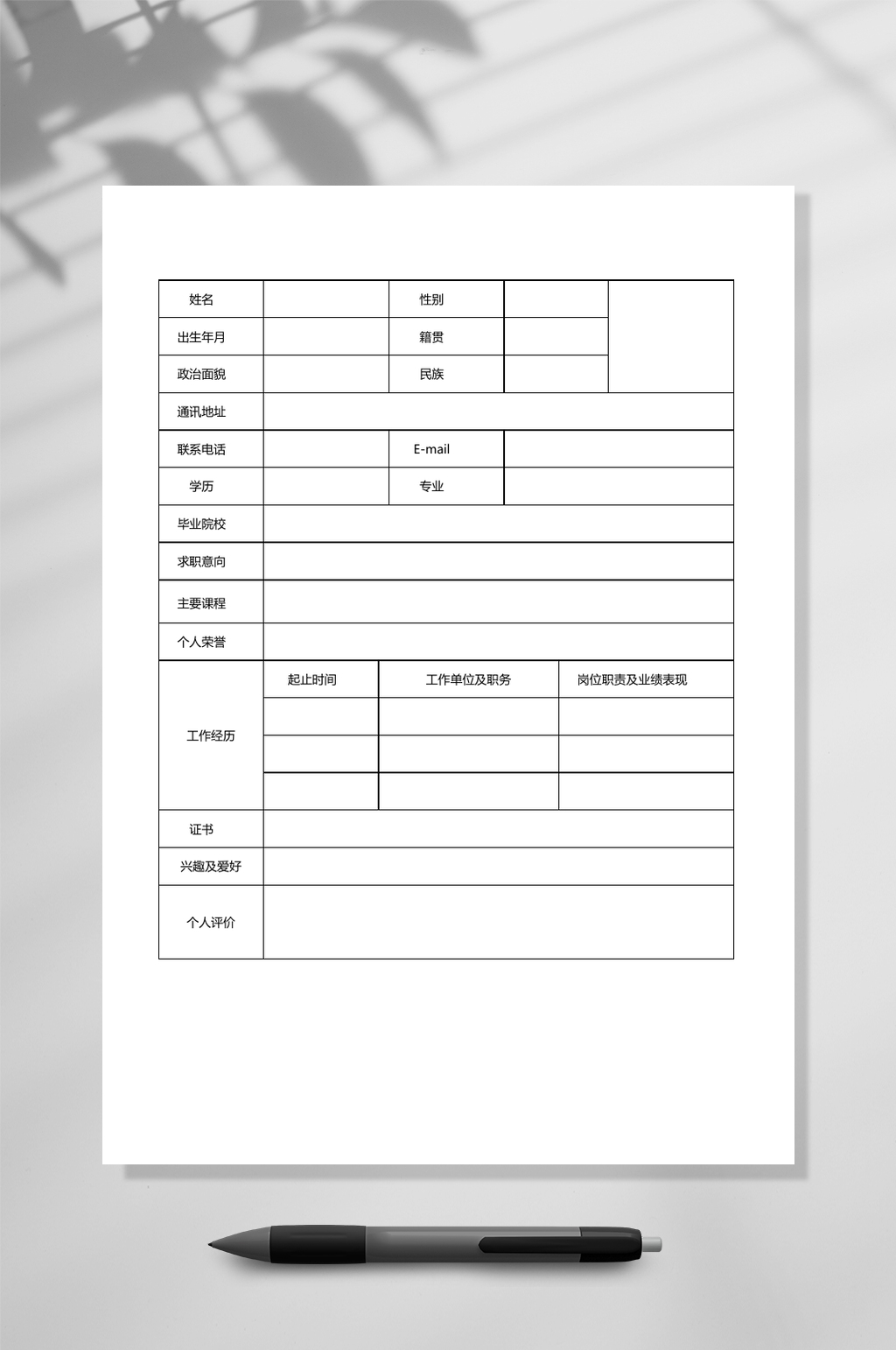 简约标准表格简历WORD素材