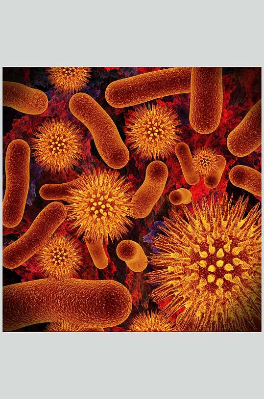 琥珀色条状带刺球状细胞病菌图片