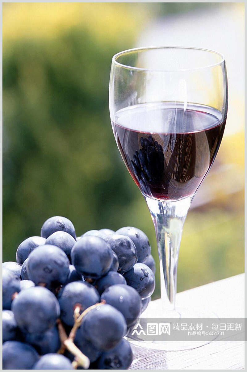 葡萄酒红酒图片素材
