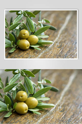 橄榄油橄榄果图片