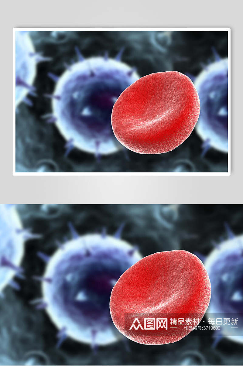 红细胞细胞病菌图片素材