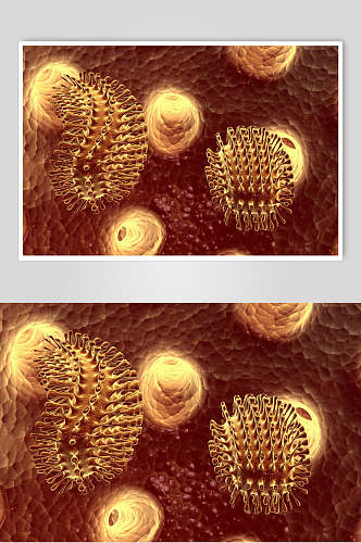 黄色细胞病菌图片