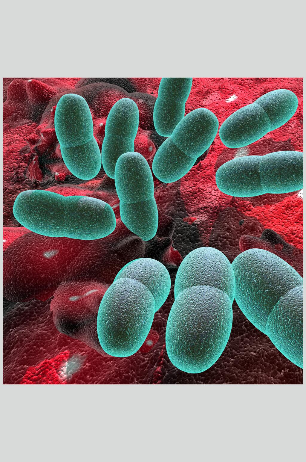 高清细胞病菌图片