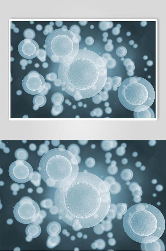 白色细胞病菌细菌图片