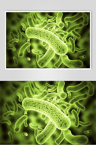 虫形细胞病菌图片
