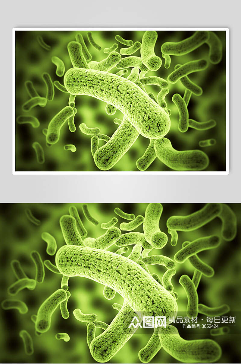 虫形细胞病菌图片素材