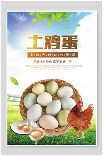 简洁大方农家土鸡蛋食材促销海报