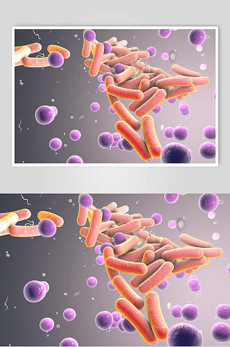 杆细胞病菌图片