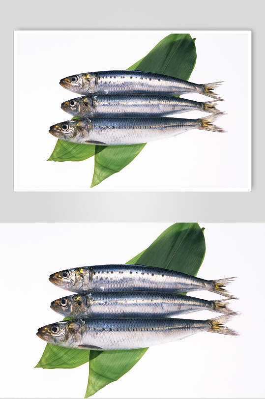 沙丁鱼油炸产品图片-沙丁鱼油炸产品素材下载-众图网