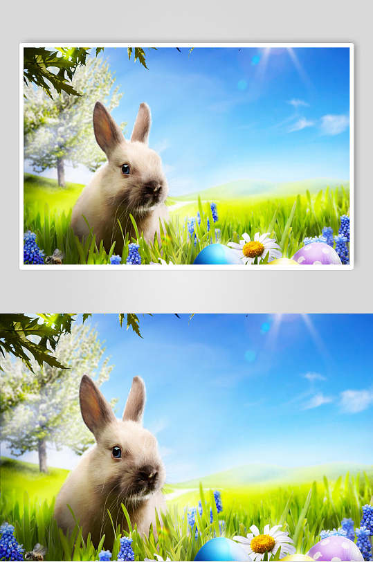 唯美兔子复活节彩蛋图片