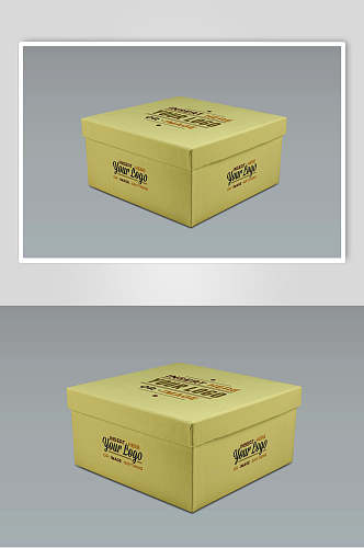 包装盒线条方格立体浅黄色样机