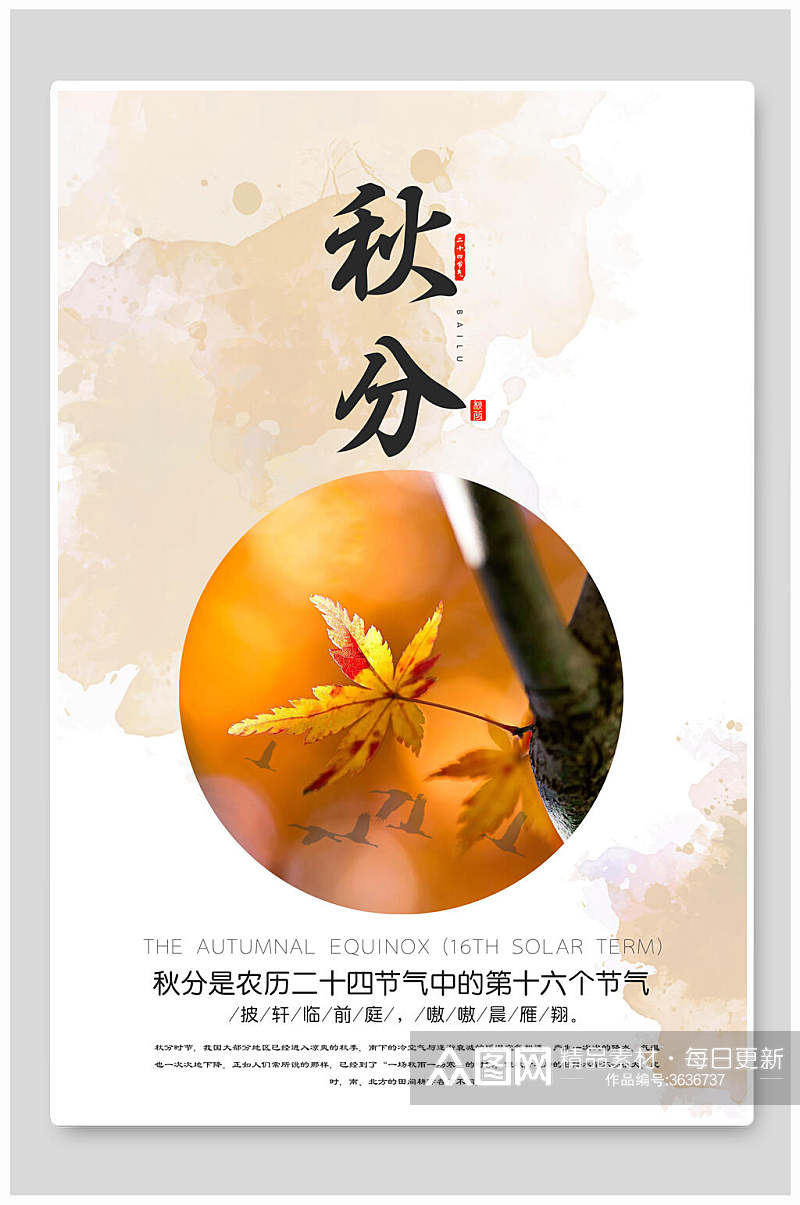创意高端枫叶中国第十六个节气秋分海报素材